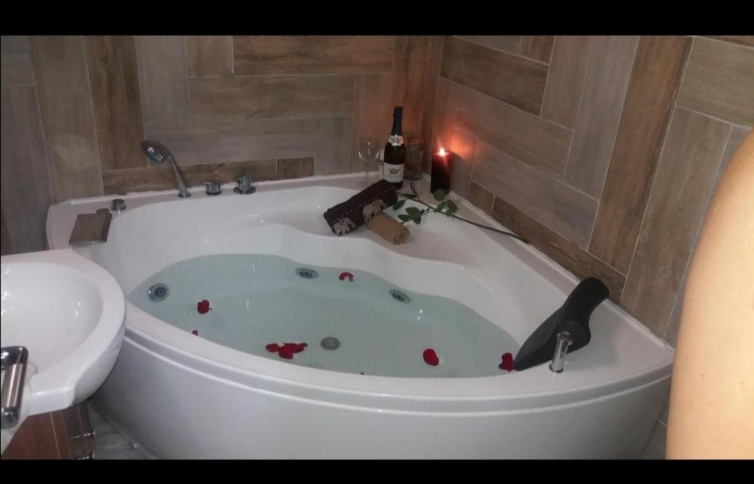 Marina Jacuzzi Apartment Free Parking ノヴィ・サド エクステリア 写真
