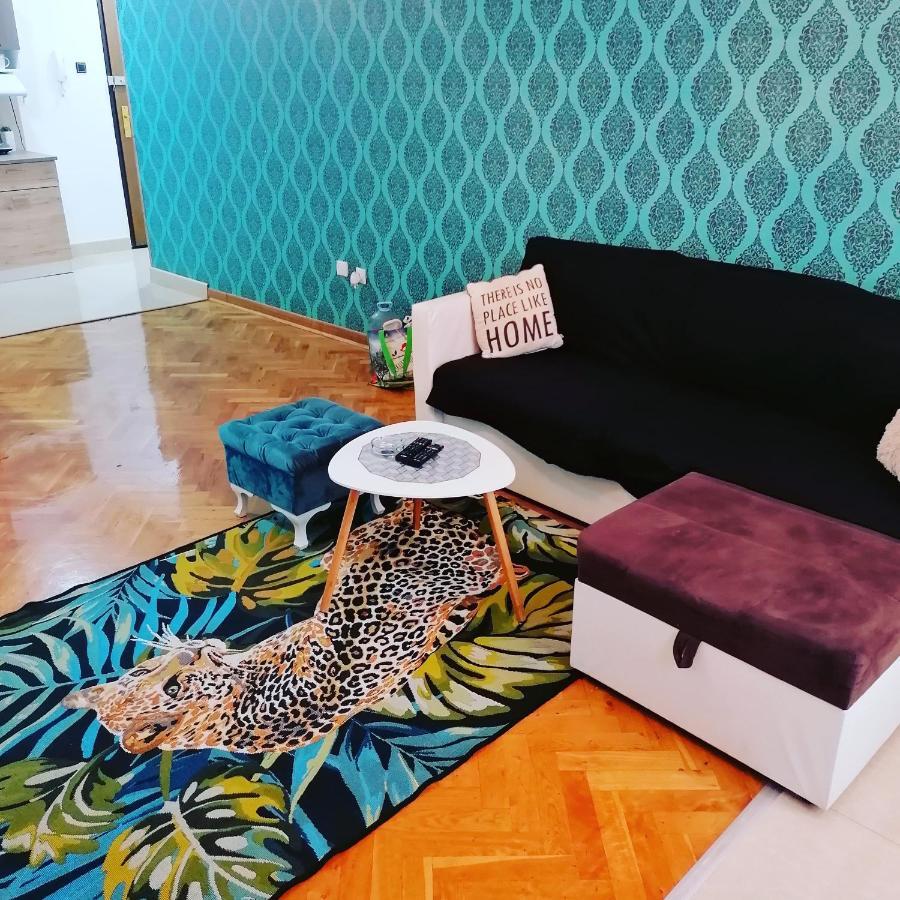 Marina Jacuzzi Apartment Free Parking ノヴィ・サド エクステリア 写真