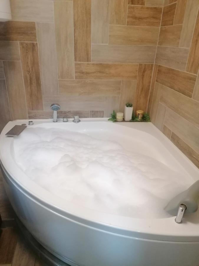 Marina Jacuzzi Apartment Free Parking ノヴィ・サド エクステリア 写真